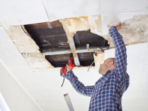 Summer Restoration Jobs in Warrenton, VA - Top 4 Most Common Cases of Damage Restoration